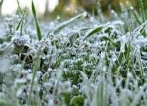 موجة برد وصقيع تضرب بعض المحافظات