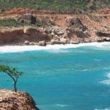 القوات البحرية المشتركة تحبط تهريب مواد مخدرة في بحر العرب