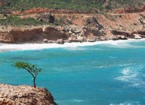 القوات البحرية المشتركة تحبط تهريب مواد مخدرة في بحر العرب