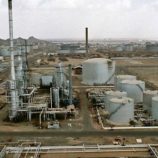 النخبة الحضرمية تحسم الموقف في المسيلة وتبسط سيطرتها الكاملة على الهضبة النفطية