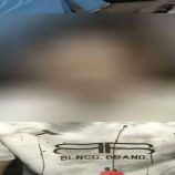 القبض على متهم برمي قنبلة على منزل أسرته في الشيخ عثمان