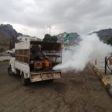 تدشين حملة الرش الضبابي في المعلا