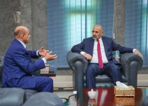 الرئيس الزُبيدي يطّلع من محافظ البنك المركزي على الإجراءات المنفذة في خطة الإصلاحات المالية والمصرفية