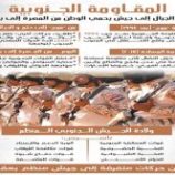 المقاومة الجنوبية… من شعاب الجبال إلى جيش يحمي الوطن من المهرة إلى باب المندب