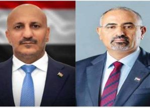 الرئيس الزُبيدي يتلقى اتصالًا هاتفيًا من الفريق طارق صالح
