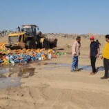 مدير عام المنصورة يوجه بإتلاف ( 70 ) طناً من العصائر منتهية الصلاحية