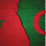 الجزائريون والمغاربة يتصدرون قرارات الترحيل من الاتحاد الأوروبي