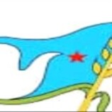 الهيئة القيادية للحزب الأشتراكي في الجنوب تصدر بيان هام