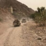 تنظيم القاعدة يعيد سيطرته على وادي المسيني غرب المكلا