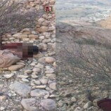 القوات الحكومية الجنوبية تقضي على عنصر إرهابي بعد تفجير عبوة ناسفة في شبوة