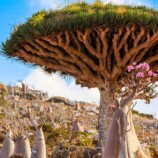 انتقالي حديبو يناقش تدهور الخدمات وتحمل الجهات المعنية مسؤولية تردي الأوضاع الخدمية