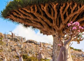 انتقالي حديبو يناقش تدهور الخدمات وتحمل الجهات المعنية مسؤولية تردي الأوضاع الخدمية