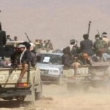 مليشيا الحوثي تدفع بتعزيزات باتجاه مأرب والساحل الغربي