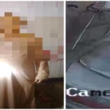 امن شبوة يستعيد سيارة مسروقة ويعيدها إلى مالكها