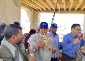 تدشين موسم الشروخ الصخري للعام 2026م بمحافظة ارخبيل سقطرى