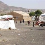 تقرير أممي يحذر من تفاقم انعدام الأمن الغذائي في اليمن