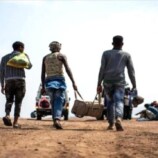 وصول 200 مهاجر إثيوبي إلى سواحل شبوة في خامس دفعة خلال فبراير