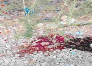 كشف تفاصيل مقتل شاب في شحير وضبط المتهمين في غيل باوزير