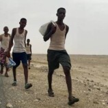 دخول 1500 مهاجر غير نظامي من القرن الأفريقي إلى بلادنا