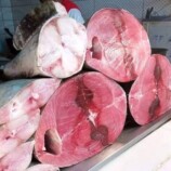 الهيئة العامة للمصائد تعلن القائمة الرسمية للأسماك