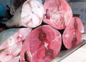 الهيئة العامة للمصائد تعلن القائمة الرسمية للأسماك