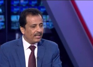 التميمي: أصوات تحاول سرقة انتصار عدن بذكراه الـ11