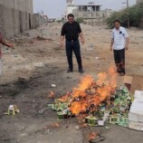 صحة البيئة بالمنصورة تتلف أكثر من “200” باكت من شمة الحوت المحضور