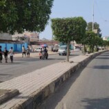 تنفيذ حملة غرس شتلات جديدة وتشذيب الأشجار في الشوارع العامة بمديرية البريقة