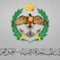 القوات المسلحة الأردنية: إسقاط 7 صواريخ و6 مسيرات إيرانية