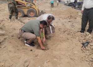 “الداؤودي” يدشن تشجير الطريق العام لمديرية البريقة