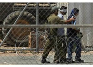 إسرائيل تمهّد لاستخدام التماسيح في تأمين سجون الأسرى الفلسطينيين