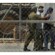 إسرائيل تمهّد لاستخدام التماسيح في تأمين سجون الأسرى الفلسطينيين