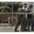 إسرائيل تمهّد لاستخدام التماسيح في تأمين سجون الأسرى الفلسطينيين