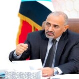 الرئيس الزُبيدي يرسم معادلة القوة الجنوبية: جيشٌ يحمي الأرض ويصون الحدود وشريكٌ في أمن الإقليم