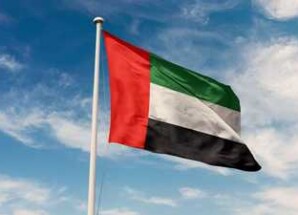 الإمارات تدعو مجلس الأمن لتوسيع حظر السلاح بالسودان