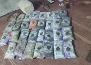 خفر سواحل حضرموت يحبط تهريب شحنة حشيش باتجاه عدن