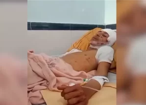 منظمات المجتمع المدني تدين المجزرة الحوثية في شبوة وتطالب بتحقيق دولي