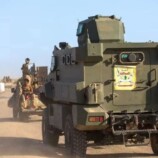 القوات الجنوبية تنفي مزاعم مليشيات الحوثي بالتقدم في المضاربة