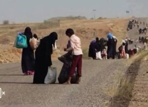 محافظا عدن وأبين يتجاهلان نازحي الصبيحة.. جهودهما لخدمة نازحي تعز والحديدة