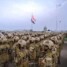 الغارديان: هجوم القوات الجنوبية على الحوثيين في باب المندب يعكس تفاهمًا سياسيًا بين السعودية والإمارات